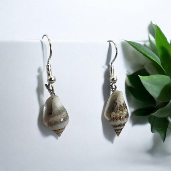 Sea Shell Earrings